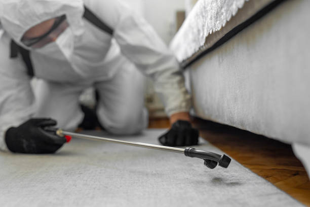 Professional Termite Control technician working in Montura, FL